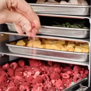 Лиофилизатор PRO - Harvest Right - 7 тави