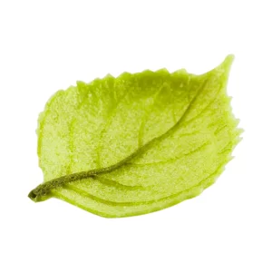 Комплект вафлени пролетни листа 